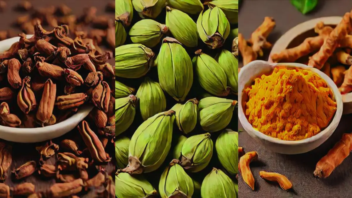 Spices Export from India