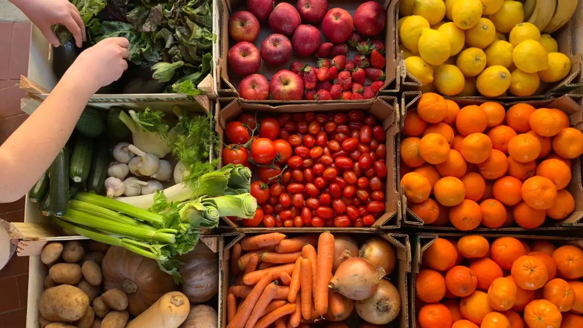 Agro Products