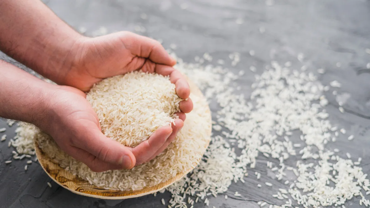 Rice Exporters