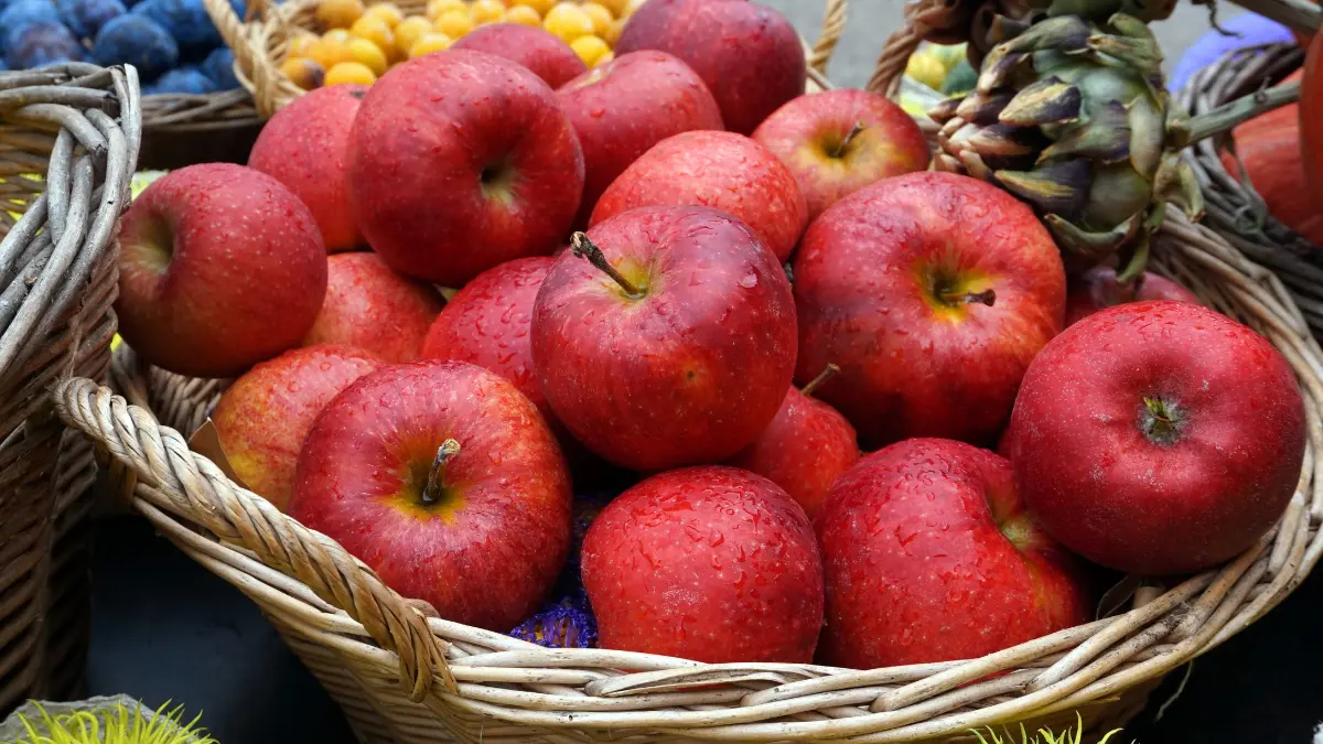 Apple Fruit Imports