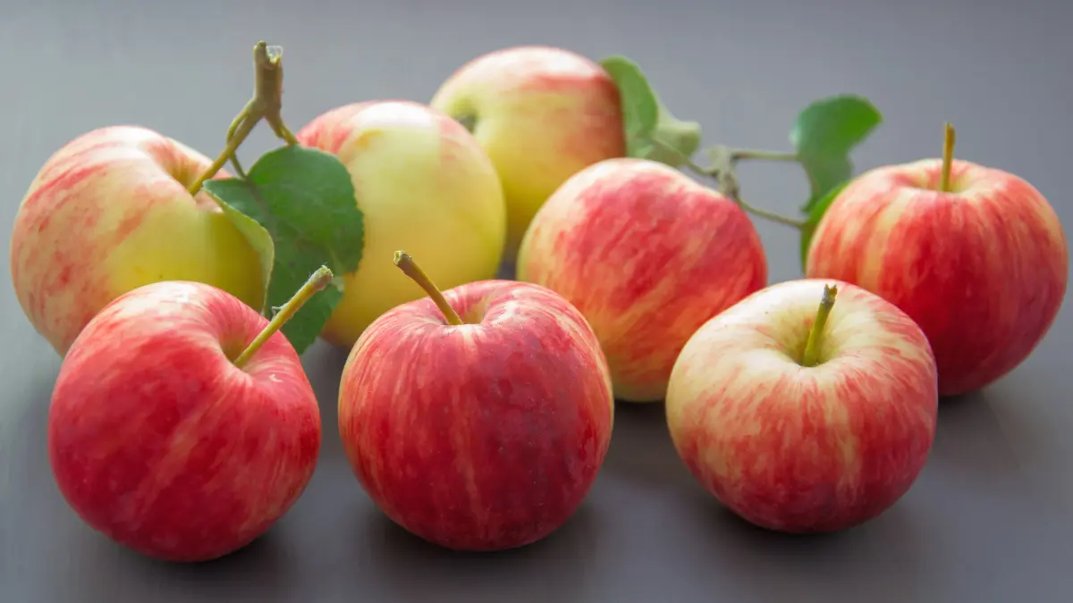 Apple Imports