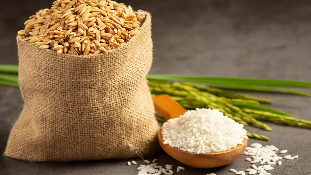 Basmati Rice