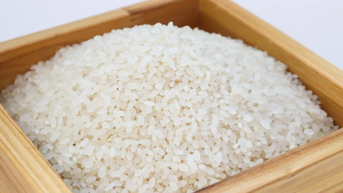 Rice Export