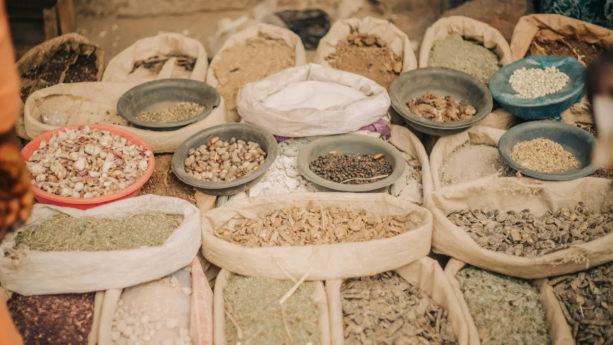 Dehydrated Products Export