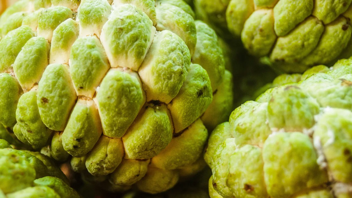 Frozen Custard Apple Pulp