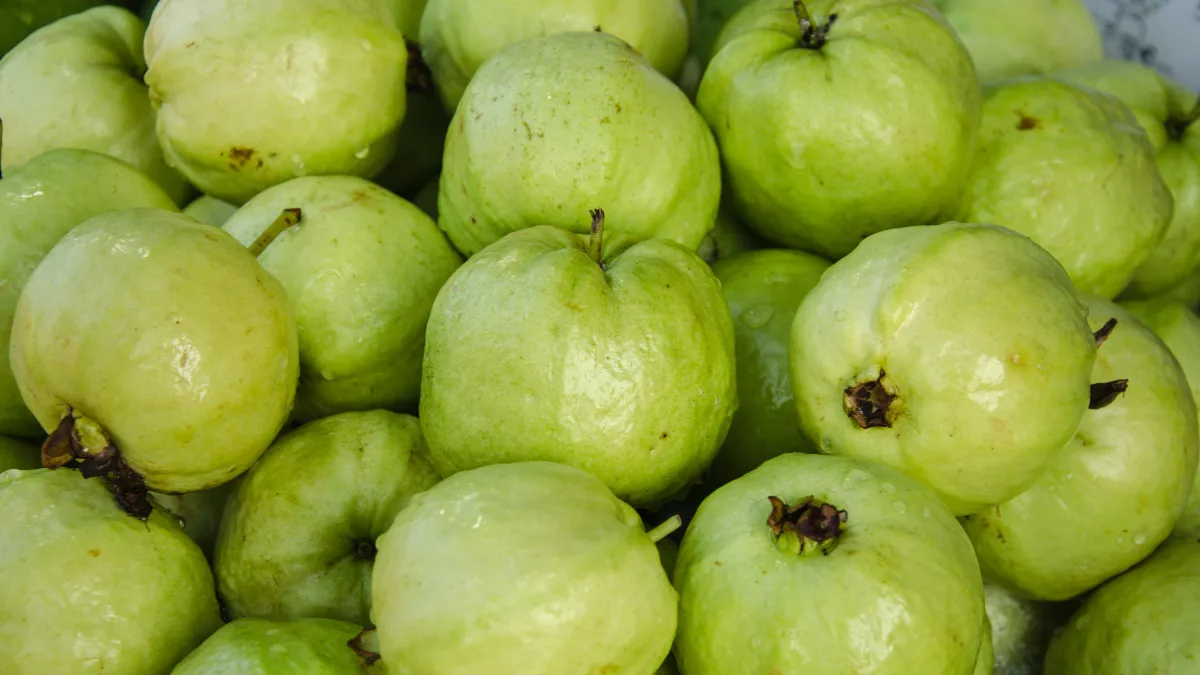 Frozen Guava Slices