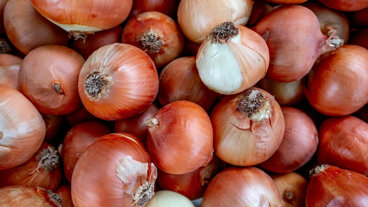 Onions