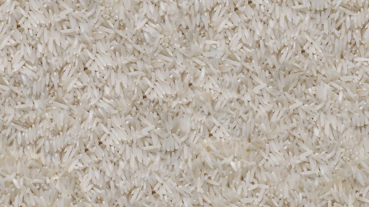 Rice