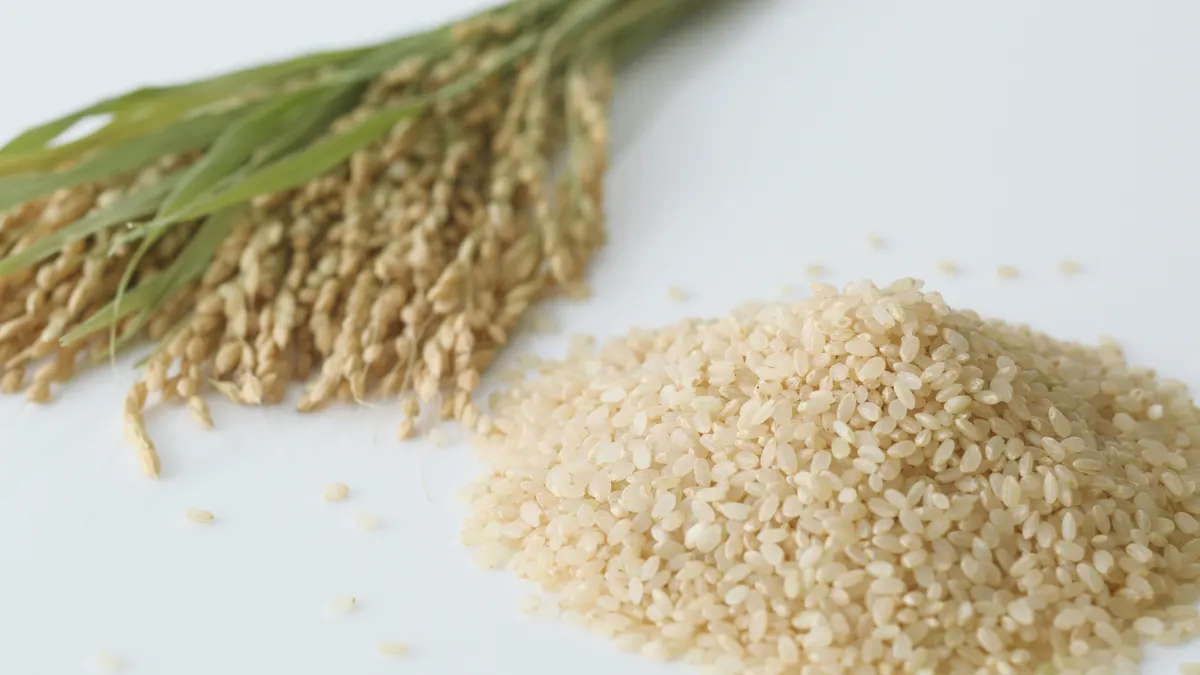 Sugandha Non-Basmati Rice