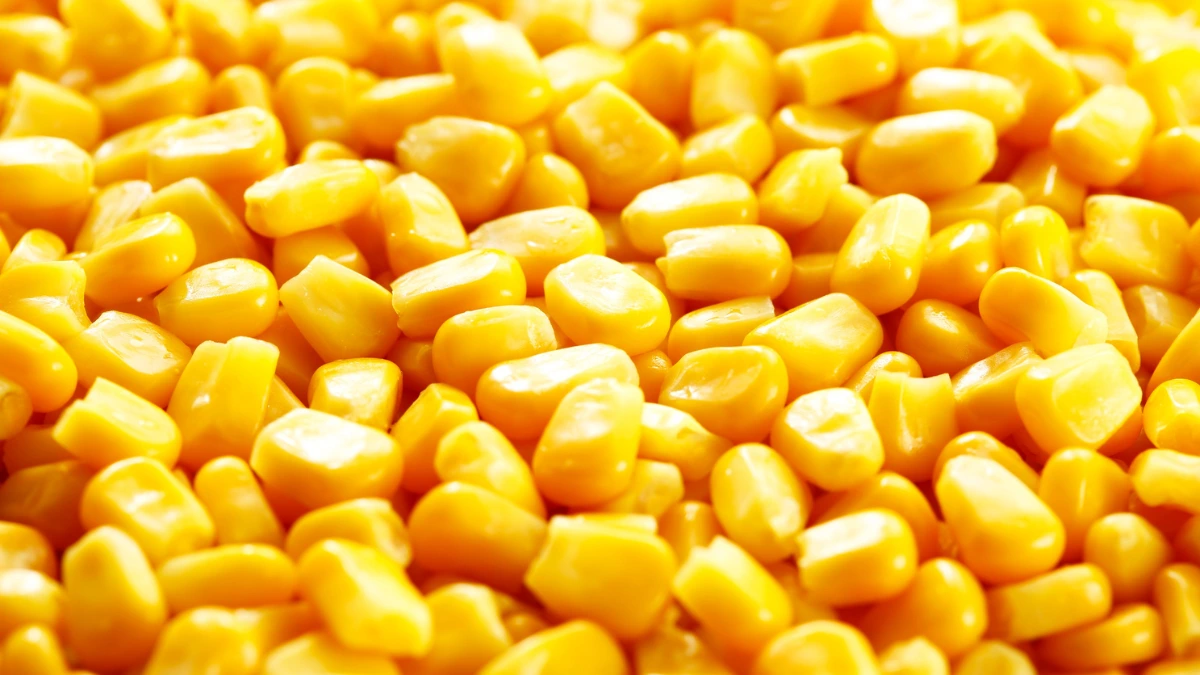 Frozen Sweet Corn