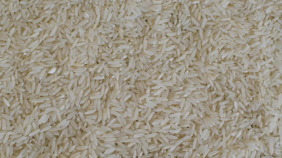 Rice