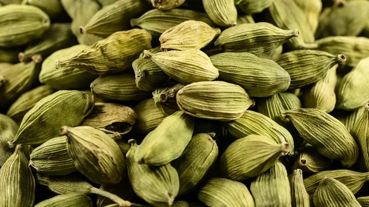 cardamom